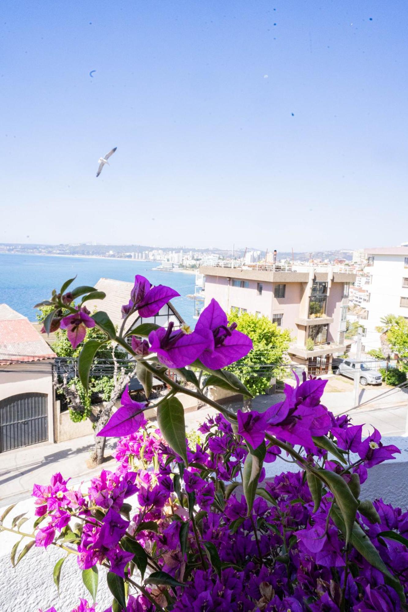 Hotel Vista Velero Vina del Mar Eksteriør bilde